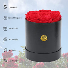Valentines Day Gifts for Her, Roses Box, Real Roses That Last a Year and More, Preserved Red Eternal Roses, Fresh Forever Roses, Best Gifts for Women