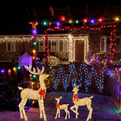 Christmas Deer Lighting Happy New Year